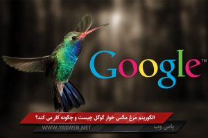 الگوریتم مرغ مگس خوار گوگل چیست و چگونه کار می کند؟